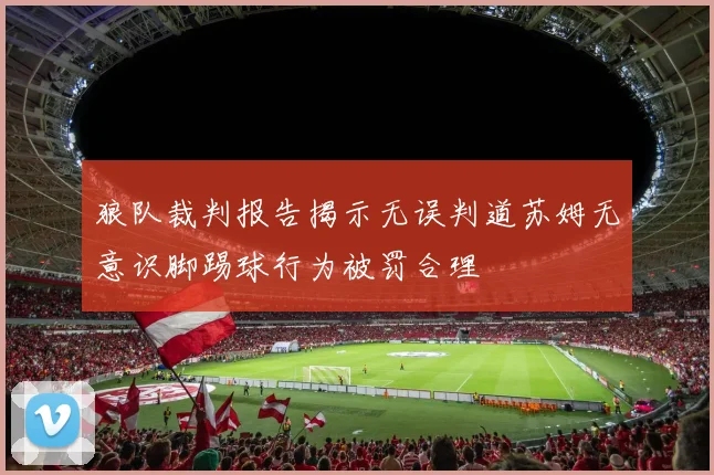 狼队裁判报告揭示无误判道苏姆无意识脚踢球行为被罚合理