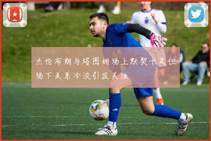 杰伦布朗与塔图姆场上默契十足但场下关系冷淡引发关注